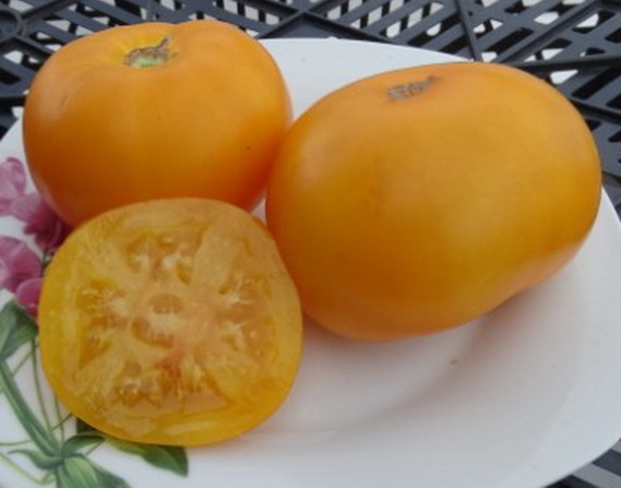 Томат мармелад оранжевый: характеристика и описание сорта, отзывы тех кто сажал помидоры об их урожайности,