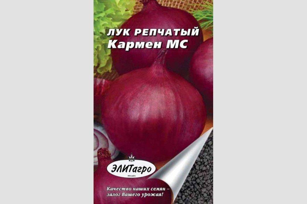 Характеристика и описание сорта лука кармен мс, выращивание и уход