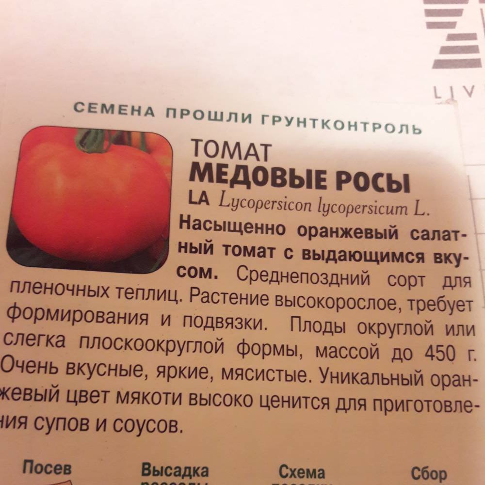 Томат розовый мед - фото, описание сорта, отзывы огородников