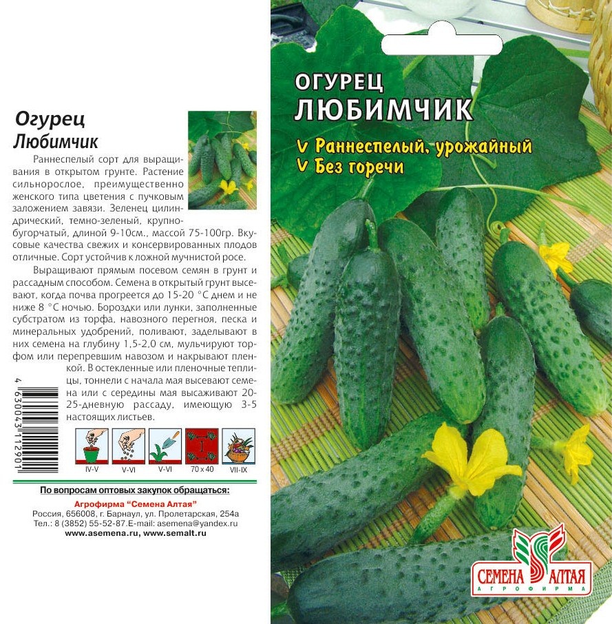 Огурец маменькин любимчик: описание и характеристика сорта, урожайность с фото