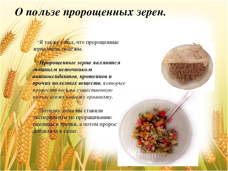 Чечевица польза и вред, уникальность (7 советов по приготовлению)