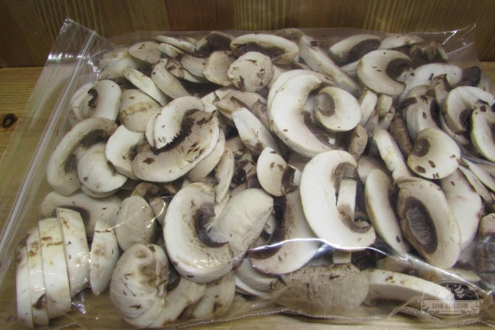 Можно ли замораживать шампиньоны и как это сделать правильно | моя кухня