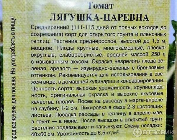 Томат царевна лягушка: отзывы тех кто сажал помидоры об их урожайности, характеристика и описание зеленоплодного сорта, фото куста