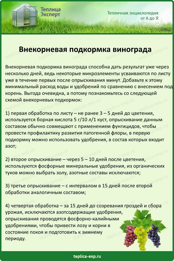Схема опрыскивания винограда
