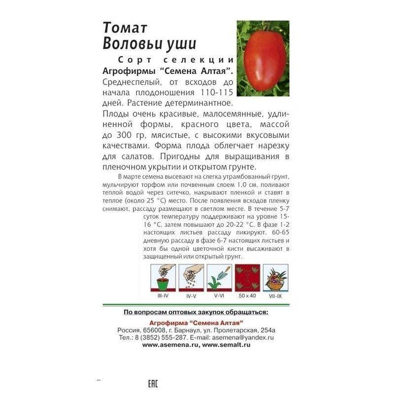 Описание среднеспелого томата Воловьи уши и правила выращивания