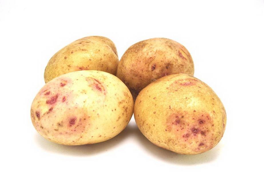 Сорт синеглазка: характеристика и описание картофеля