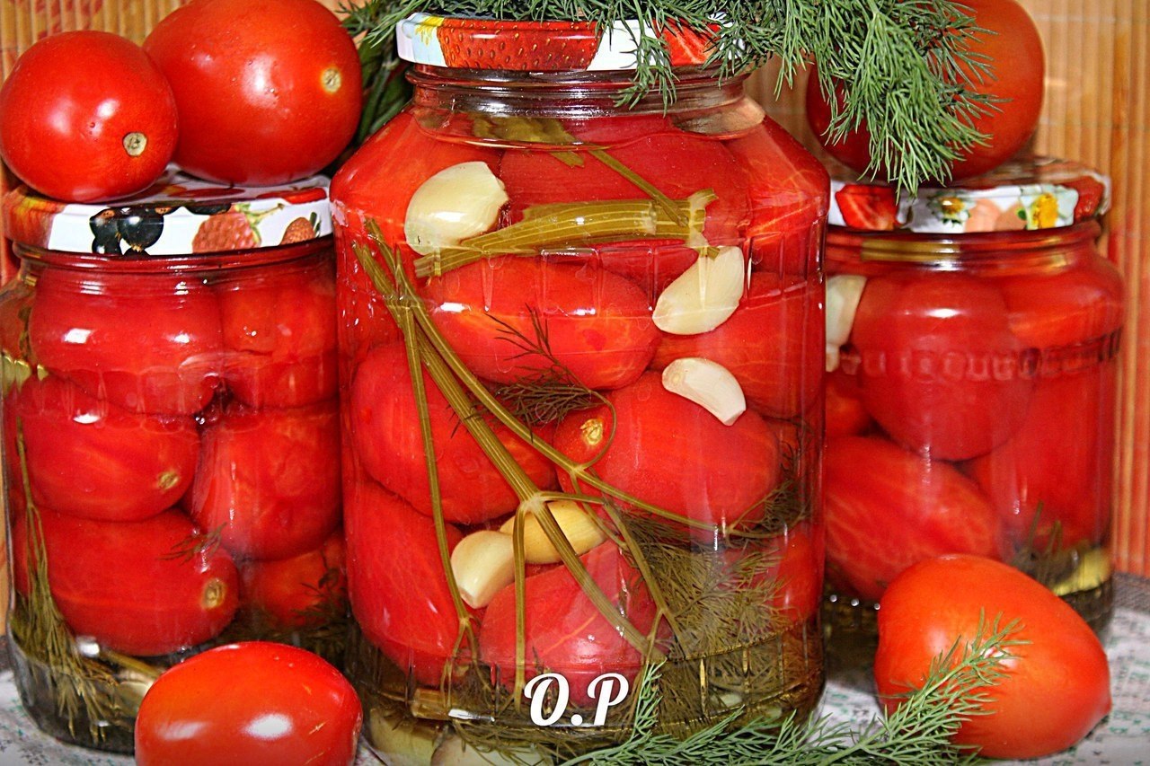 Зеленые помидоры на зиму в банках — 8 вкусных простых рецептов