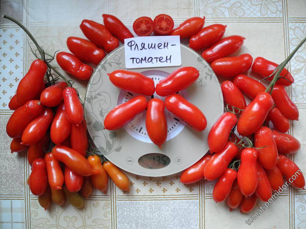 Томат фляшентоматен: характеристика и описание селекционного сорта с фото