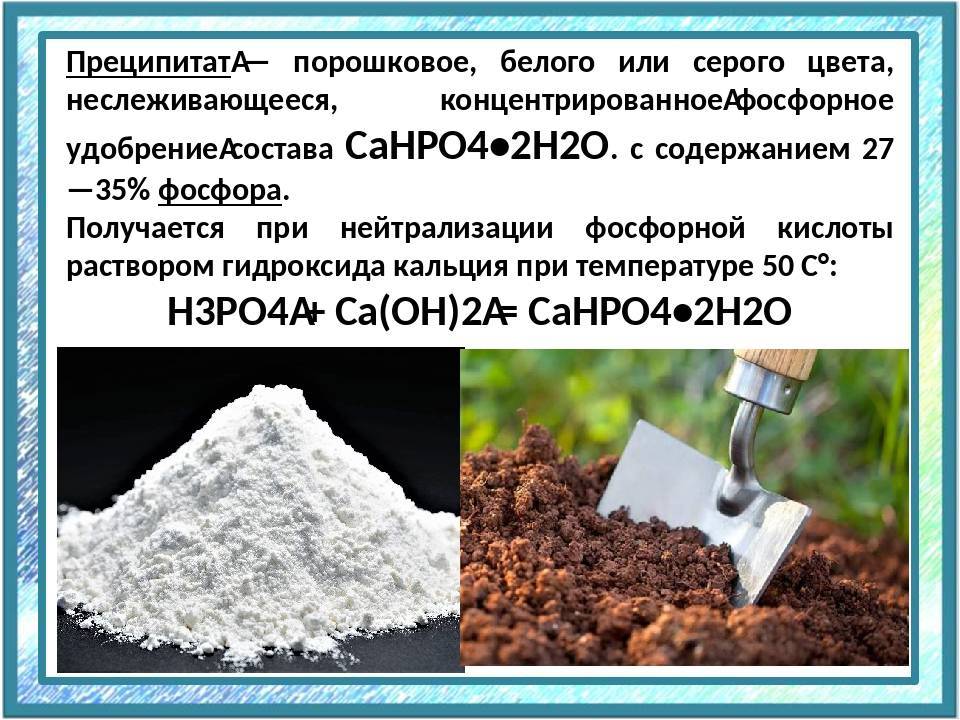 Мука фосфоритная - доступное и высокоэффективное средство повышения урожая