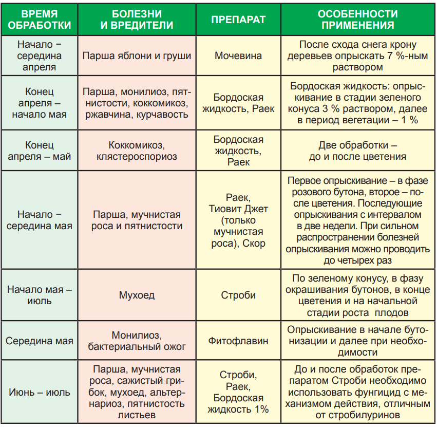 Как бороться с тлей на капусте с помощью настойки валерианы?