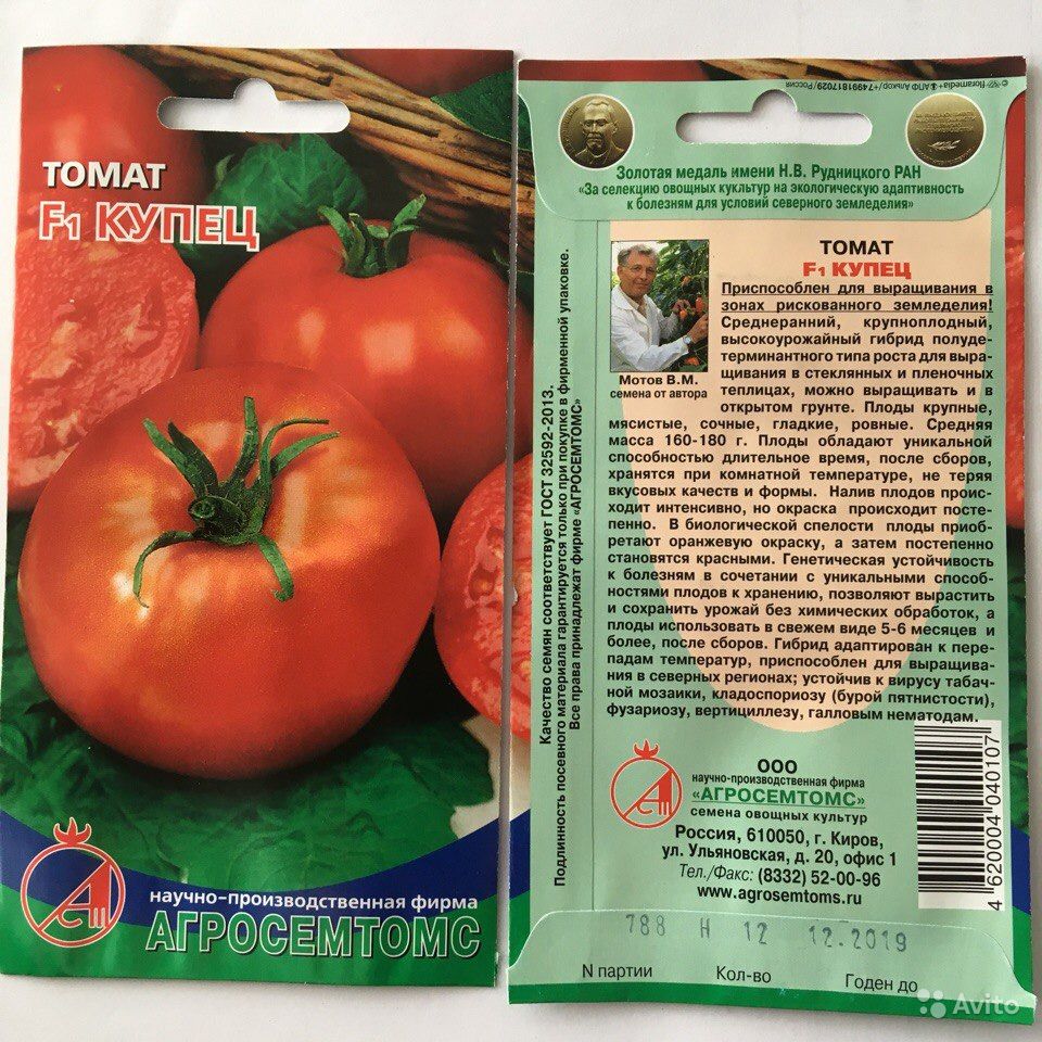 Как выращивать помидоры в открытом грунте