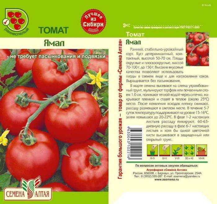 Как ухаживать за томатом «спрут сливка» в открытом грунте и теплице