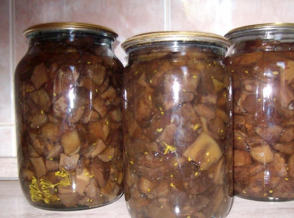 Как правильно приготовить грибы свинухи. рецепты варки, жарки и маринования свинушек