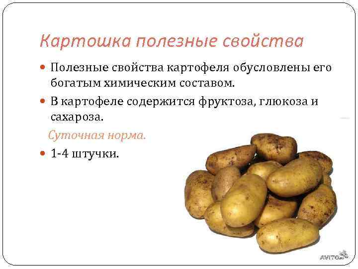 Картофель польза и вред для здоровья организма женщины, мужчины