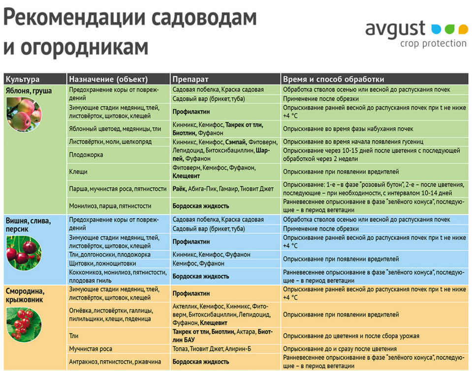 Схема обработки вишни от болезней и вредителей