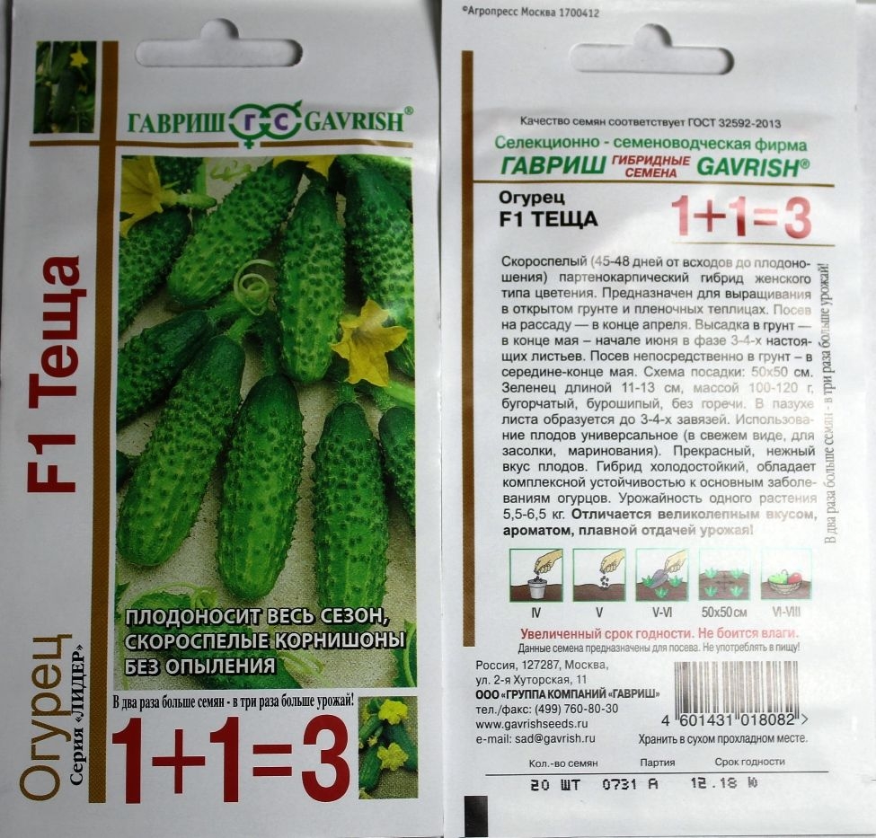 Огурец любимый зятек f1: отзывы, фото семян аэлита, характеристика и описание сорта