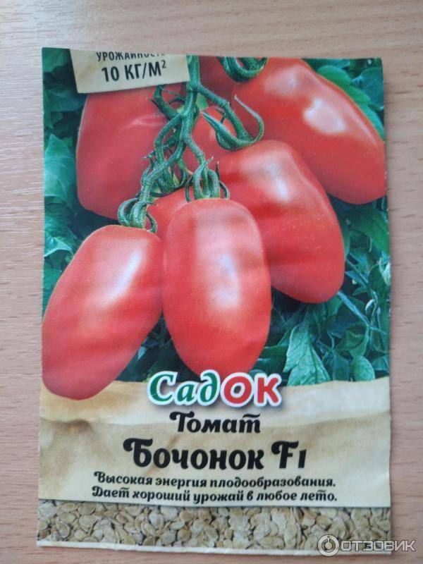 Описание крупноплодного томата Бочонок и выращивание рассадным способом