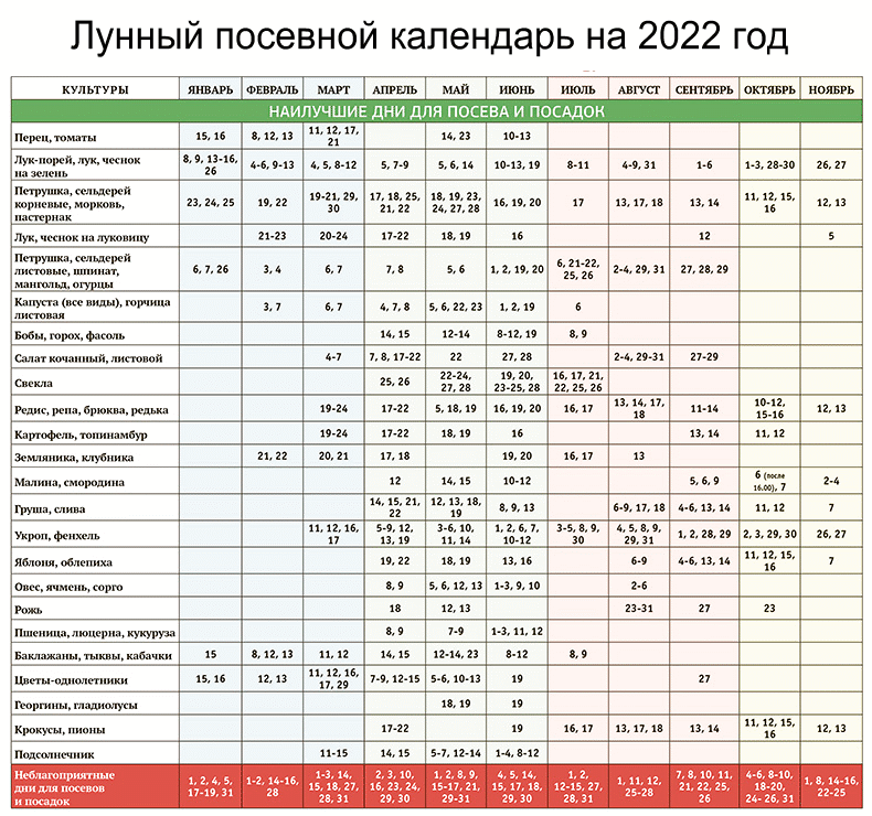Посадка чеснока в 2023 году: сроки, благоприятные дни, выращивание и уход