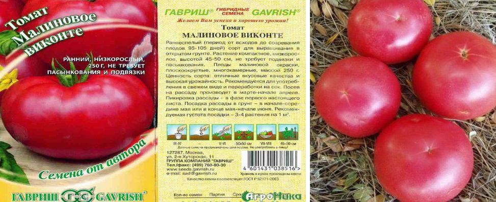 Томат малиновое виконте: характеристика и описание сорта, отзывы об урожайности помидоров, фото куста