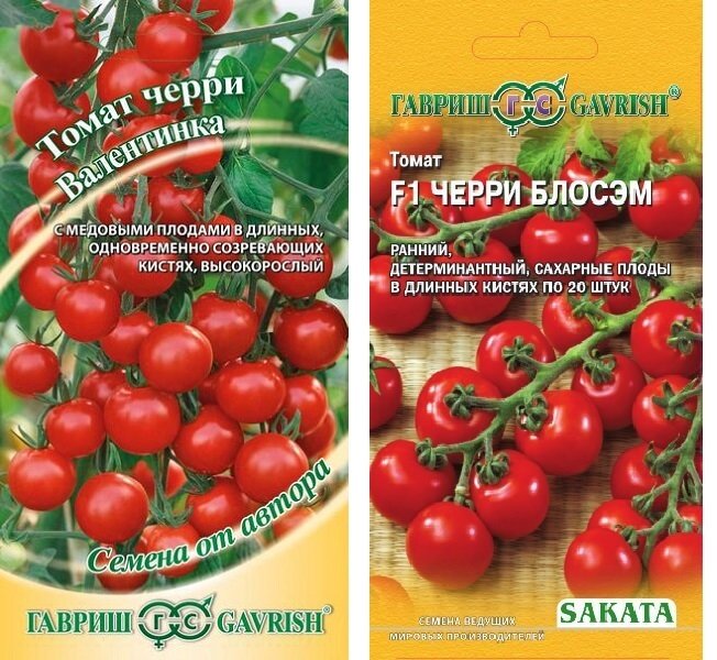 Описание лучших сортов томатов для открытого грунта в подмосковье
