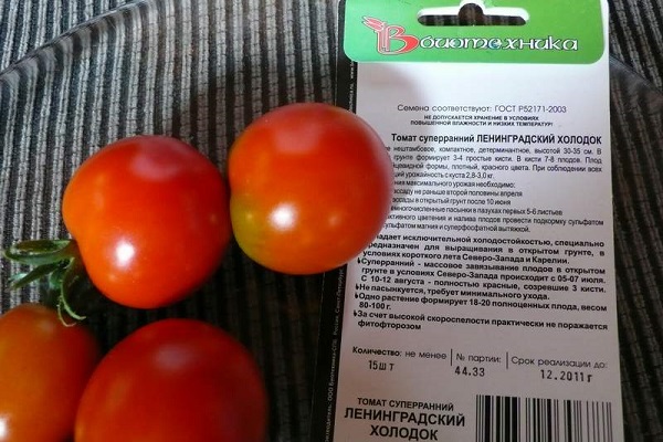Описание томата Ленинградский холодок, выращивание и отзывы о сорте
