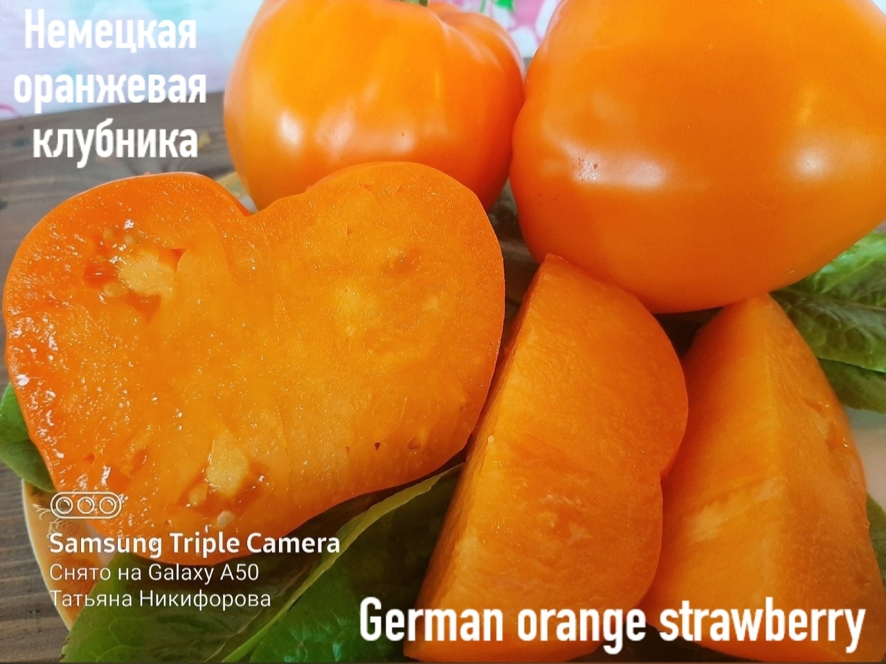 томат оранжевое сердце описание сорта фото