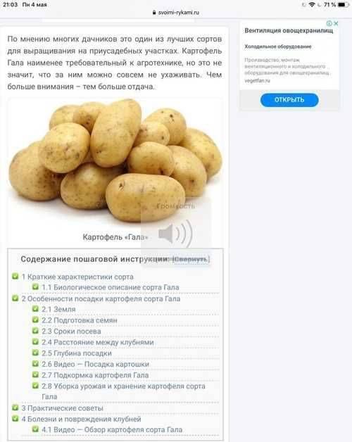 Сорт картофеля гала: характеристики и особенности выращивания. сорт картофеля «гала»: характеристики, качества и выращивание