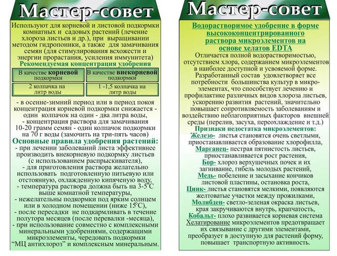 Почему желтеют листья винограда: что делать, как и чем лечить хлороз