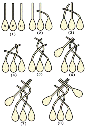 Как правильно связать чеснок в косы для хранения, способы плетения и схемы