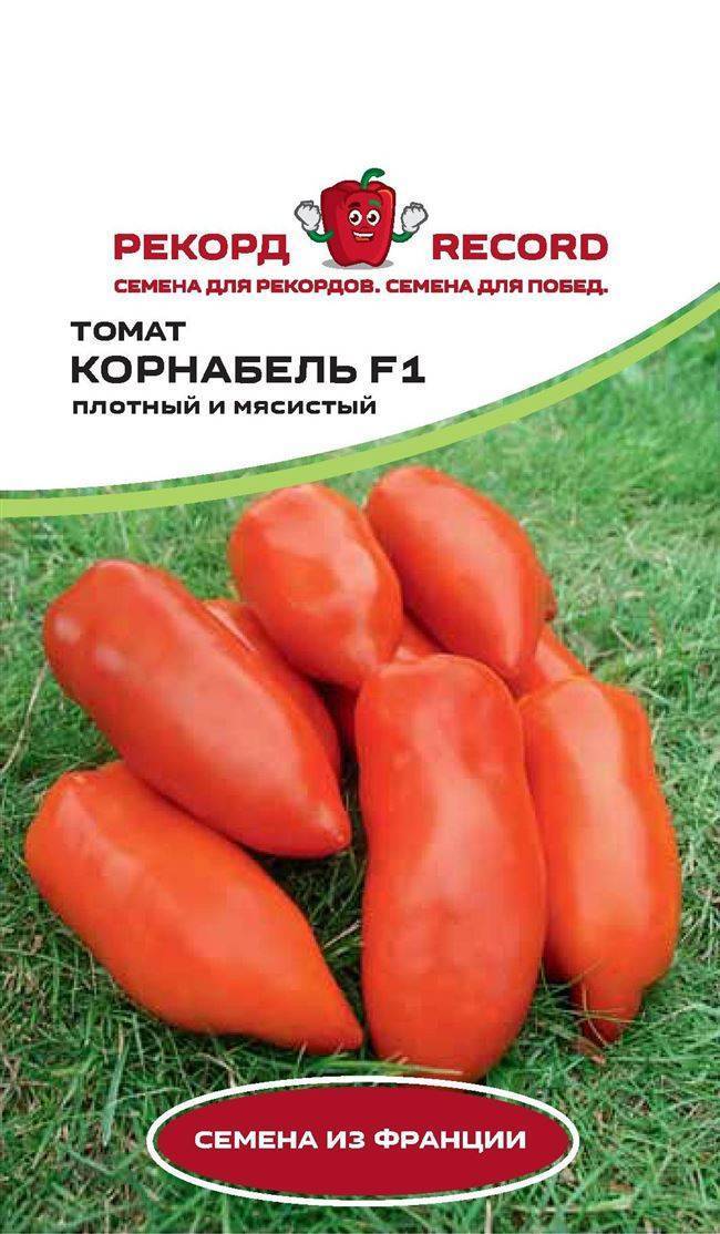 Сорт томата корнабель f1: фото и описание