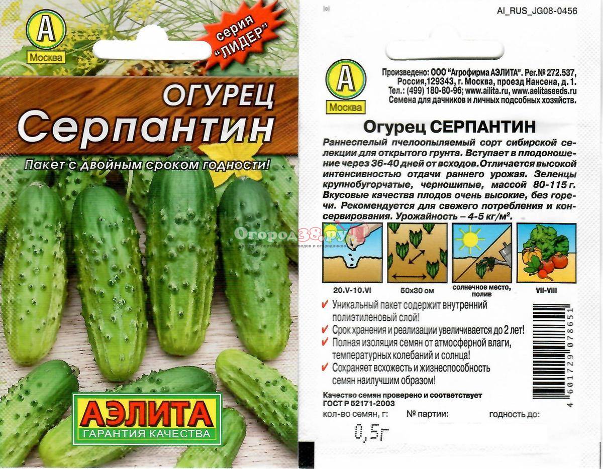 Описание огурцов Серпантин и методы выращивания гибридного сорта