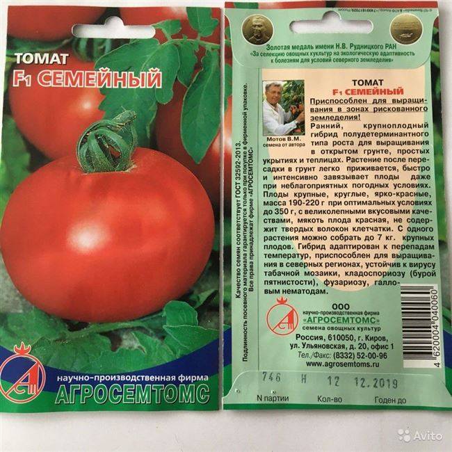 Лучшие сорта помидор на 2023 год: самые урожайные, вкусные, для открытого грунта и теплиц