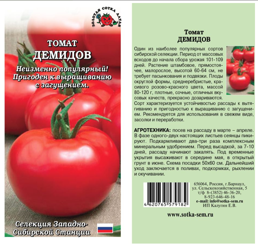 Амбициозный выходец фирмы седек — томат вспышка: описание сорта и особенности выращивания