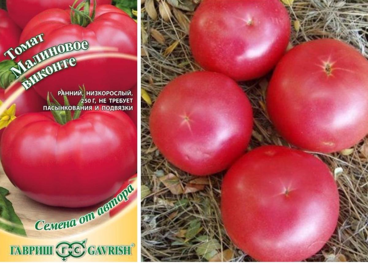 Томат малиновое виконте: характеристика и описание сорта, отзывы об урожайности помидоров, фото куста