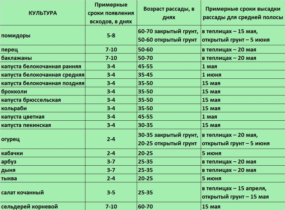 В ленинградской области можно сажать. Таблица посева семян на рассаду в открытый грунт. Таблица сроков посадки капусты рассаду. Таблица сроков посева семян овощей на рассаду. Таблица сроки посева в открытый грунт семена.