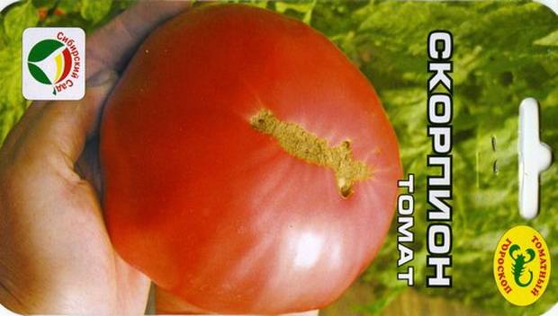 Томат тяжеловес сибири: описание крупноплодного вкусного сорта помидоров, отзывы, фото, урожайность, посадка на рассаду и дальнейший уход