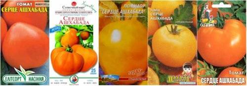 Сорт томата «сердце ашхабада»: описание, характеристика, посев на рассаду, подкормка, урожайность, фото, видео и самые распространенные болезни томатов