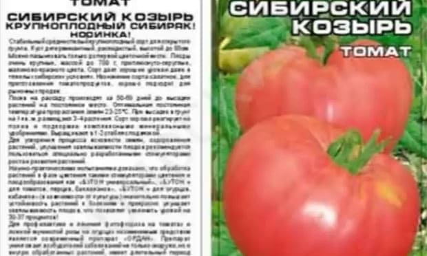 Вопрос: томат сорта сибирский казак кто сажал, описание, отзывы и фото? - разное