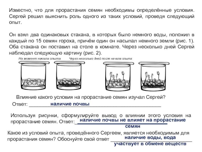 Семена тыквы сохраняют всхожесть 8 лет а пшеницы на 8 лет больше схема к задаче