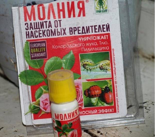 Инсектицид «молния»: действующее вещество, инструкция по применению