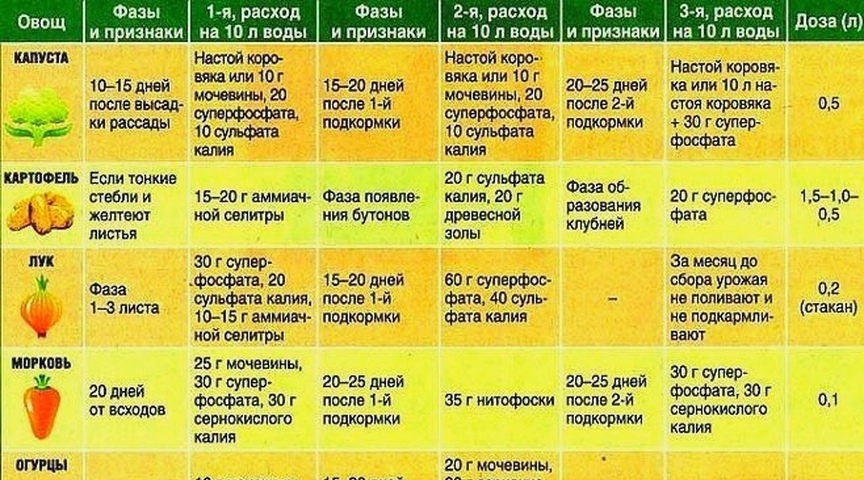 Как часто поливать огурцы в теплице | самоделки на все случаи жизни - notperfect.ru