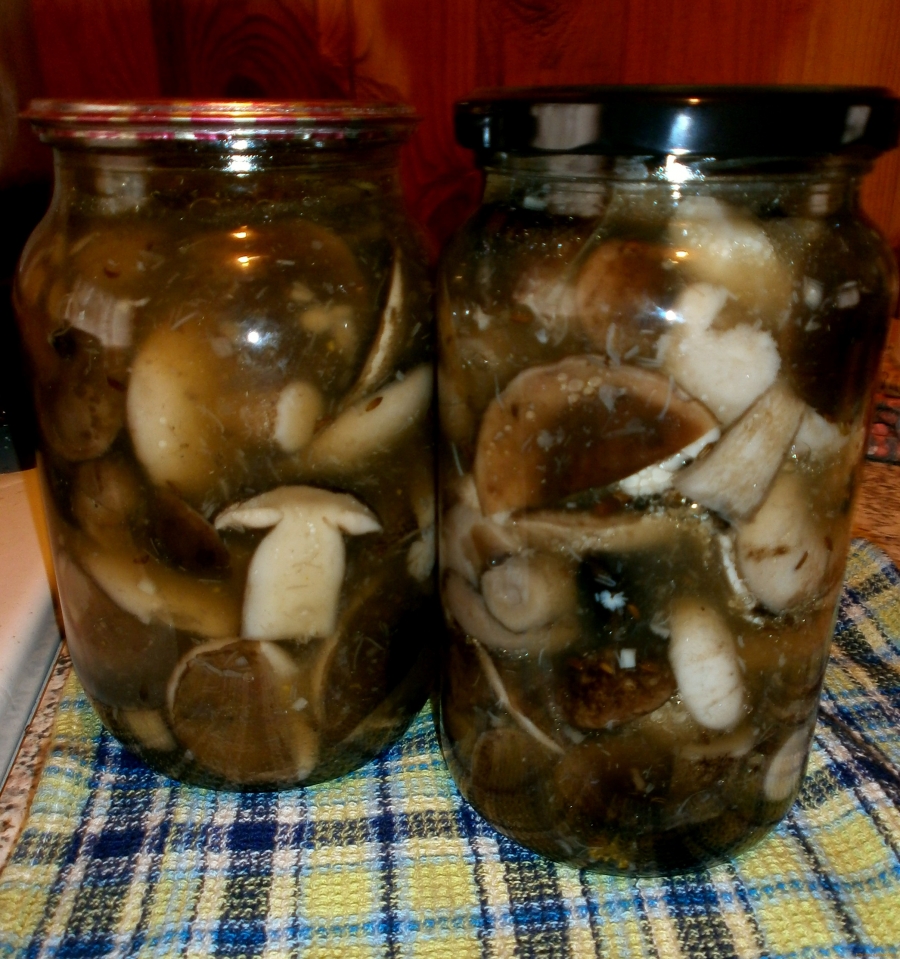 Как мариновать подберезовики на зиму? 4 простых рецепта маринованных грибов в банках
как мариновать подберезовики на зиму? 4 простых рецепта маринованных грибов в банках