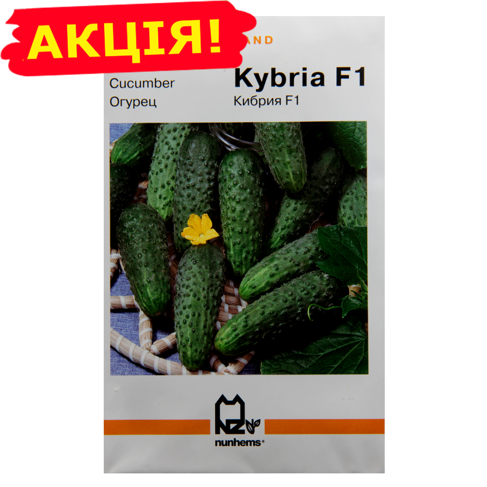 Огурцы Кибрия Отзывы Фото Урожайность