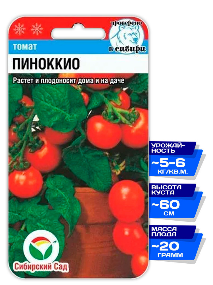 Томаты пиноккио — урожайная сказка на ваших грядках