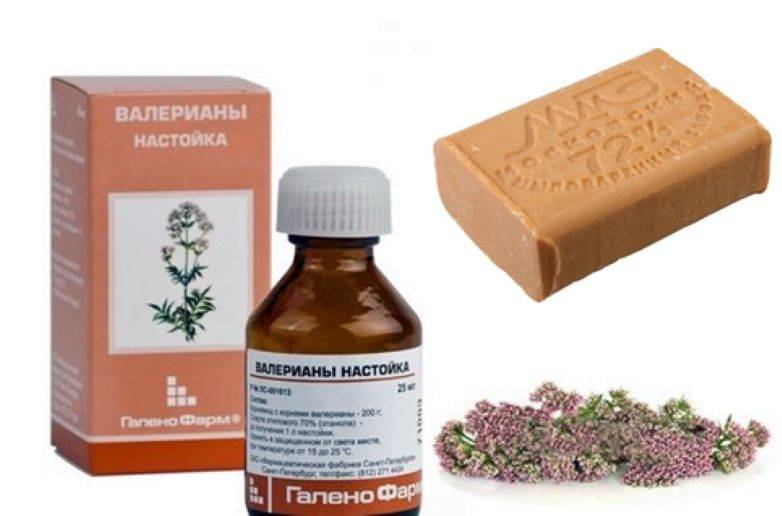 Тля на капусте - как бороться народными средствами и химическими препаратами