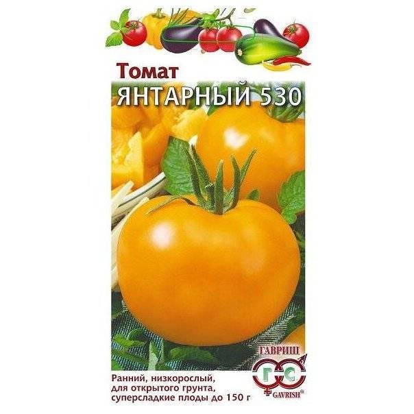 Описание и общая характеристика желтоплодного томата янтарный 530