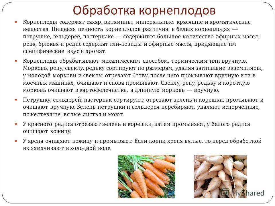 Когда убирать морковь с грядки на хранение в 2023 году: сроки уборки по луне, правила и советы по хранению урожая