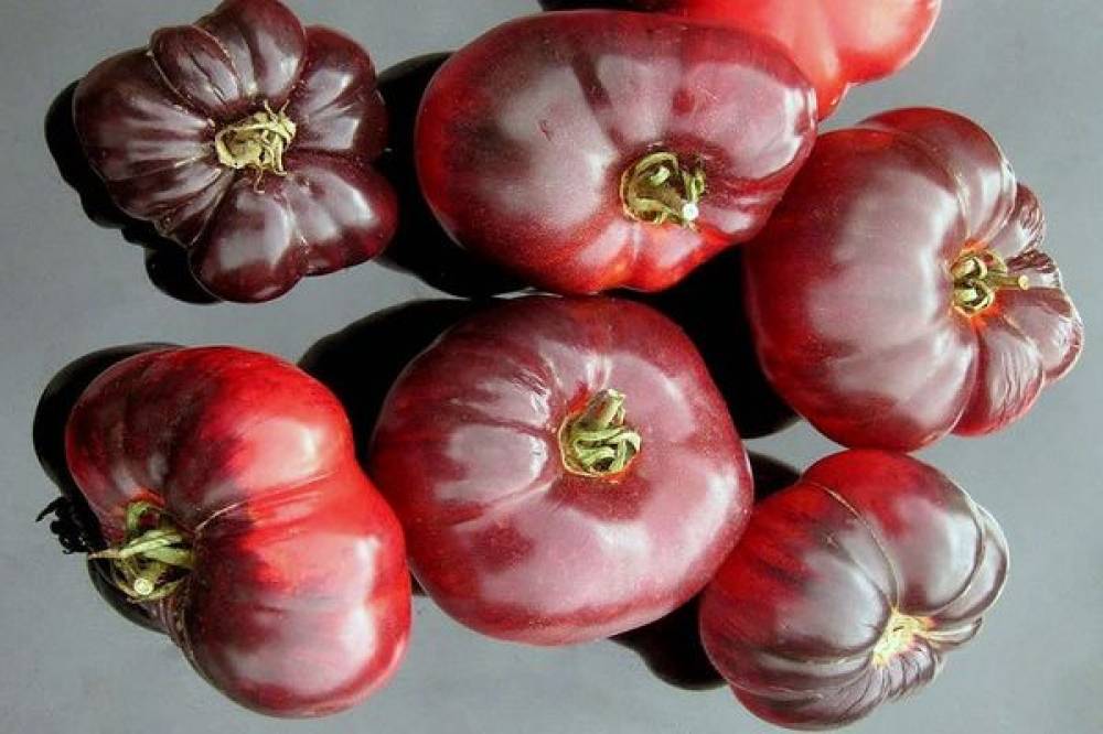 Оригинальный сорт с аппетитными плодами — томат темный тигр: отзывы, описание помидоров
