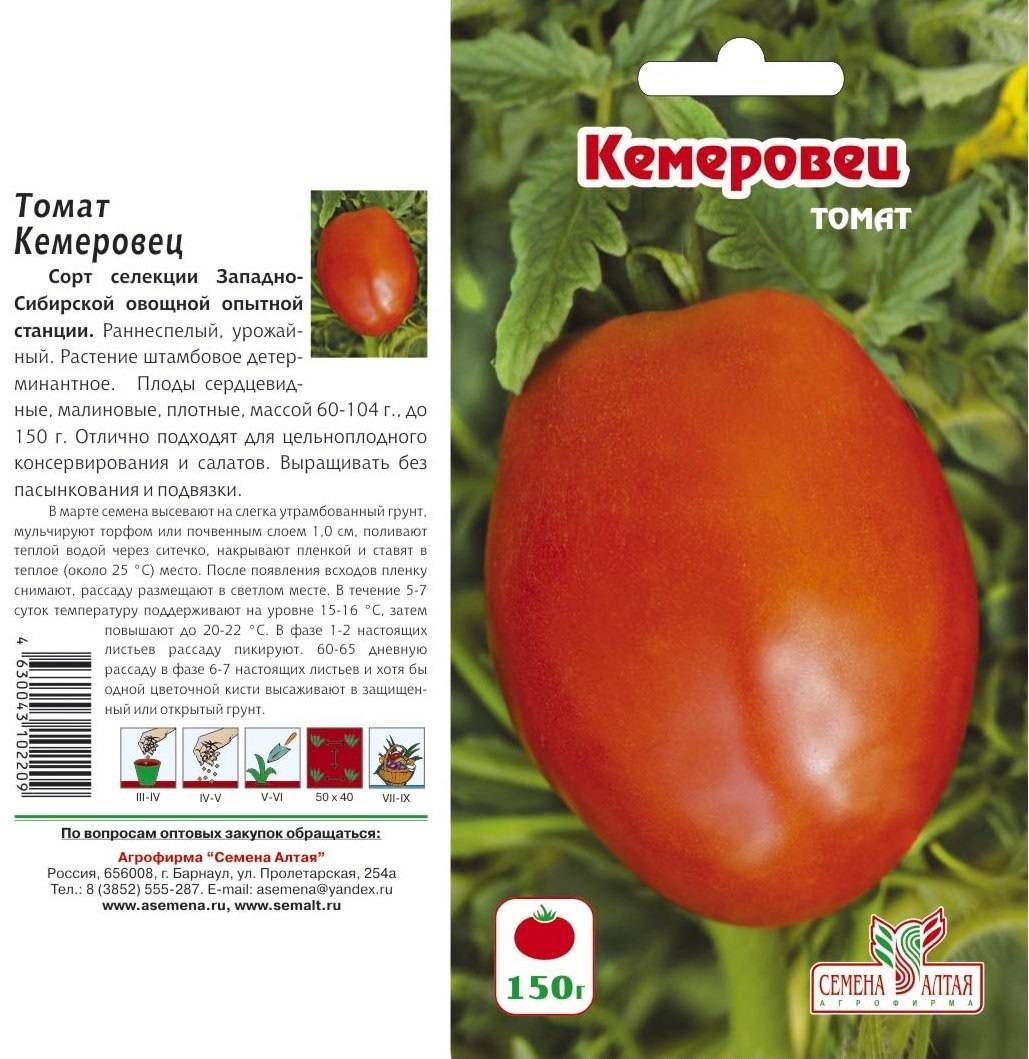 Гибрид с ранними сроками созревания — томат пышка f1: описание сорта и его характеристики