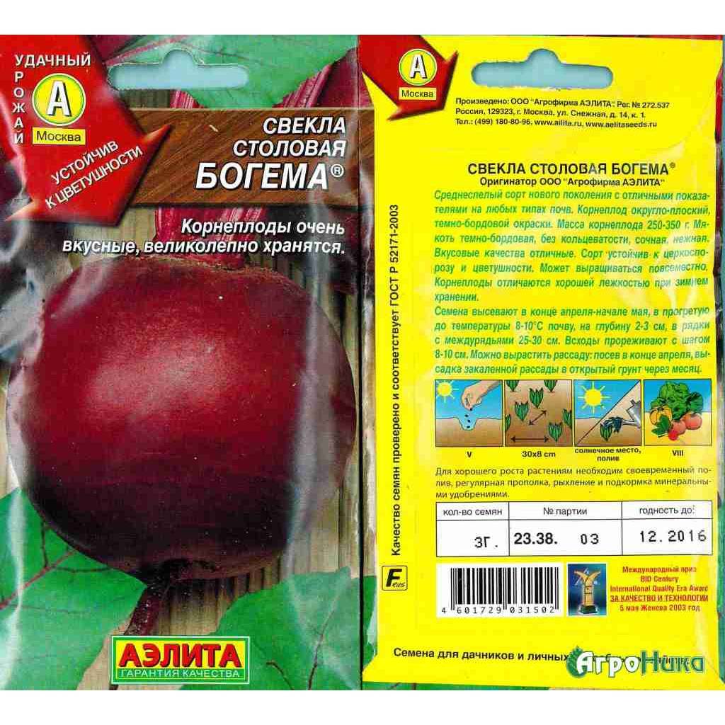 Сорта свеклы для выращивания на участке